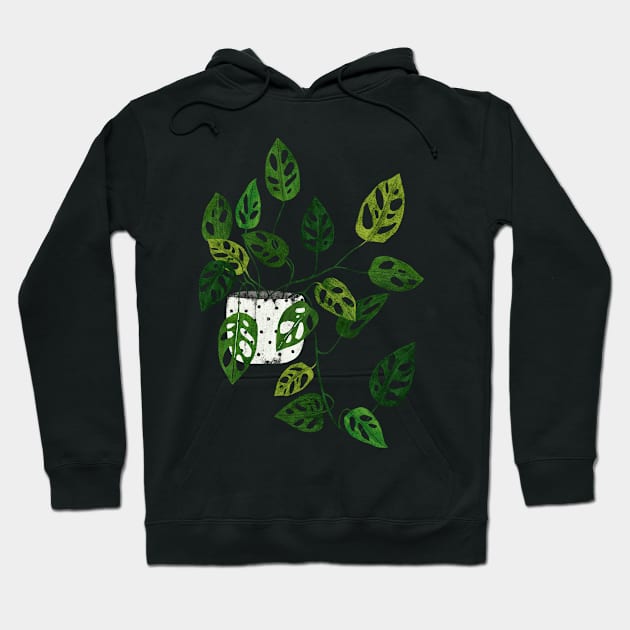 Monstera obliqua interior plant Hoodie by Elbuenlimon